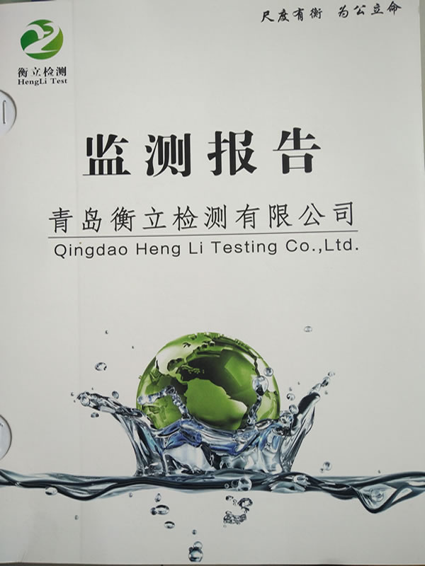 監測報告